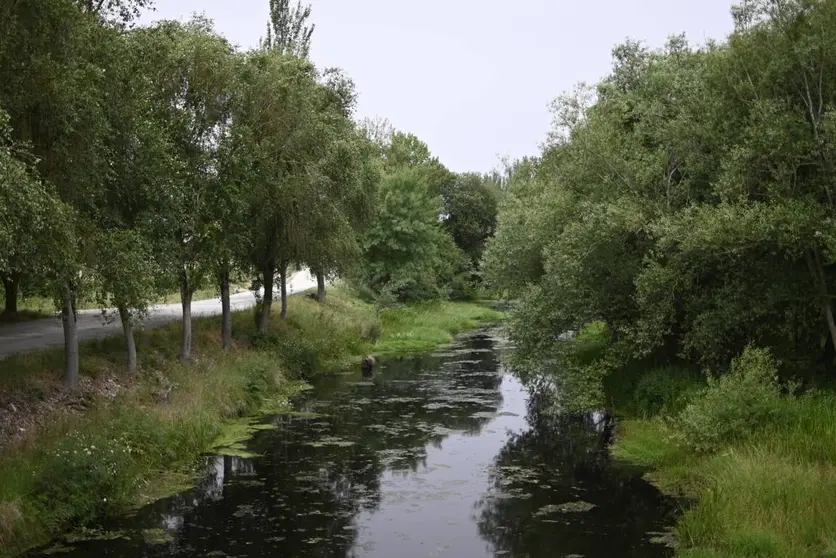 paseo rio Limia en Xinzo. xuño 2022 (13)