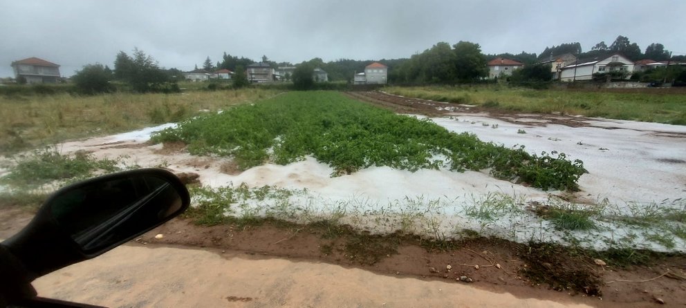 20240618 temporal granizo en Freixo, Sarreaus_fotos de óscar gómez (1)