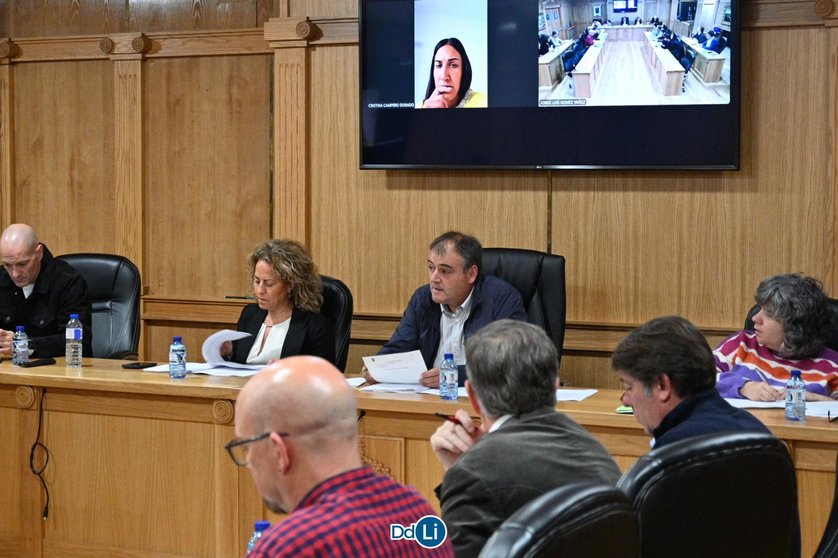 La edila de Deportes, Cristina Campero, compareció vía telemática. | FOTO: Noelia Caseiro.