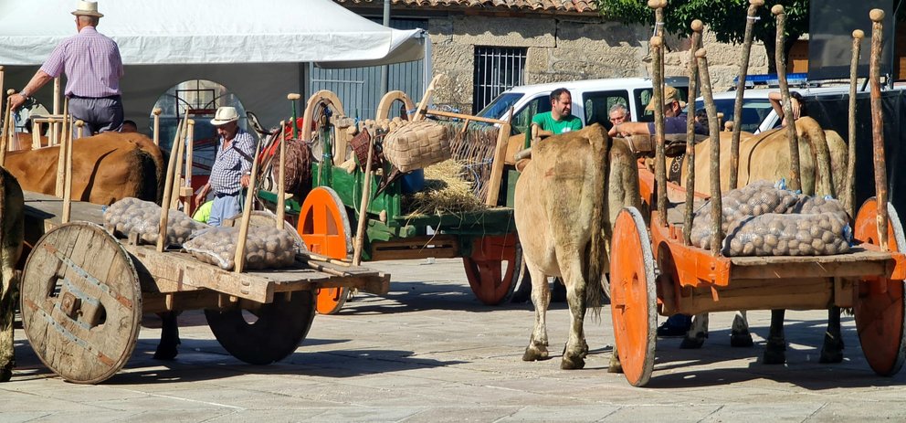 2023 Festa Pataca Vilar de Barrio, carros e bois