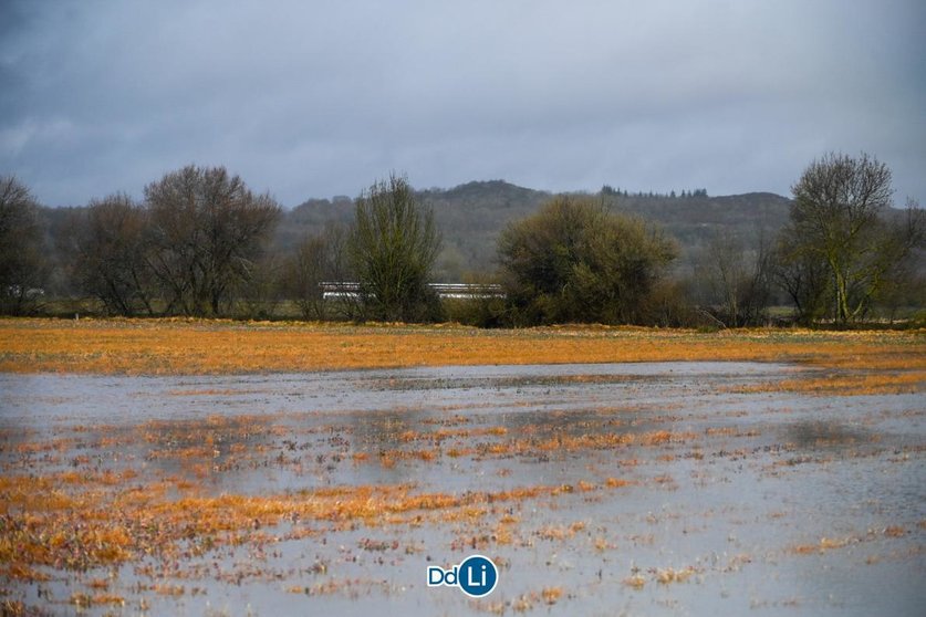 Finca asolagada na Limia.