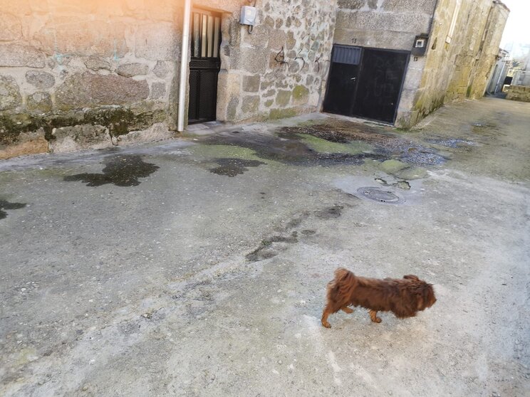 Regueros de orina a las puertas de las viviendas, en el barrio de "Abaixo" de Xinzo de Limia.